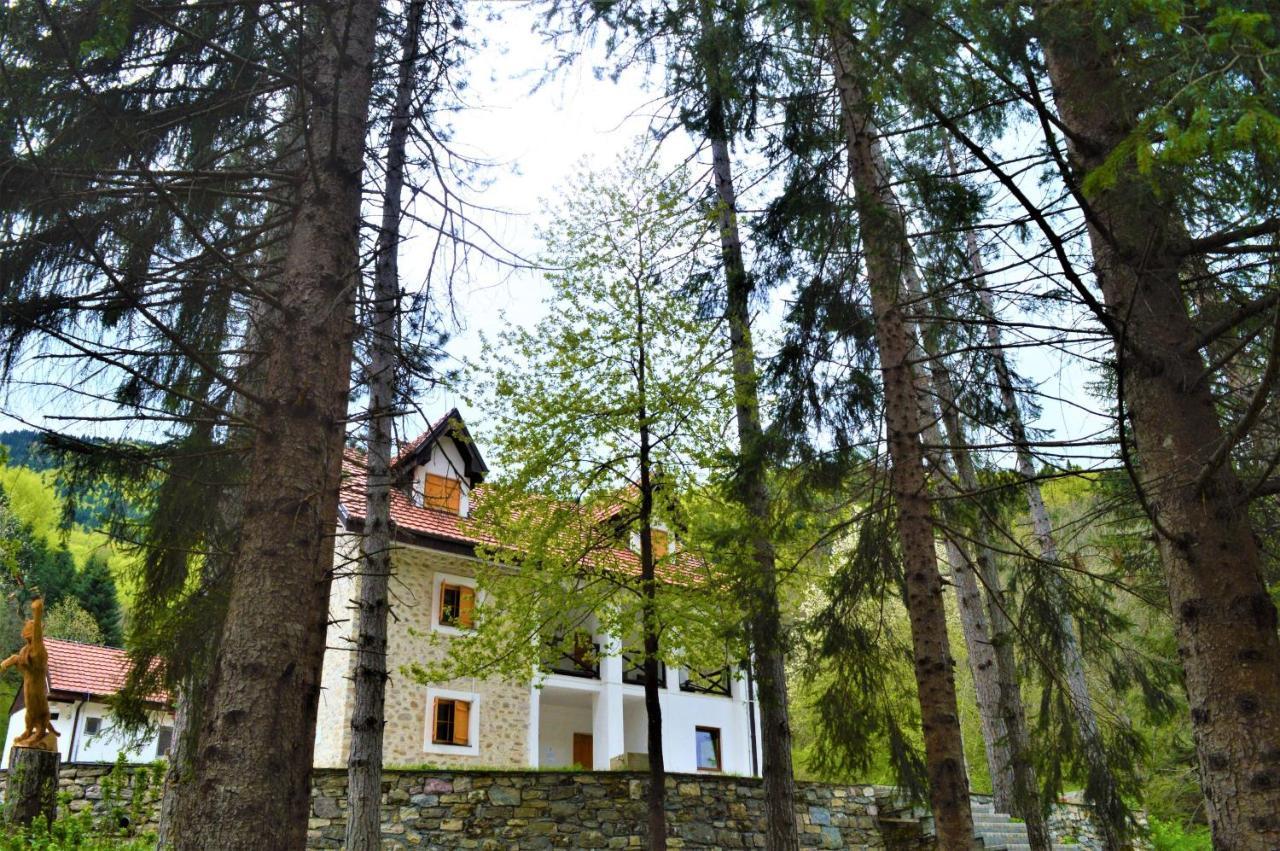 Willa Mountain House Korab Trnica Zewnętrze zdjęcie